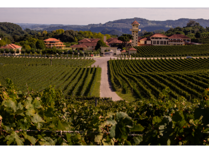 Tour Gran Reserva - Vale dos Vinhedos